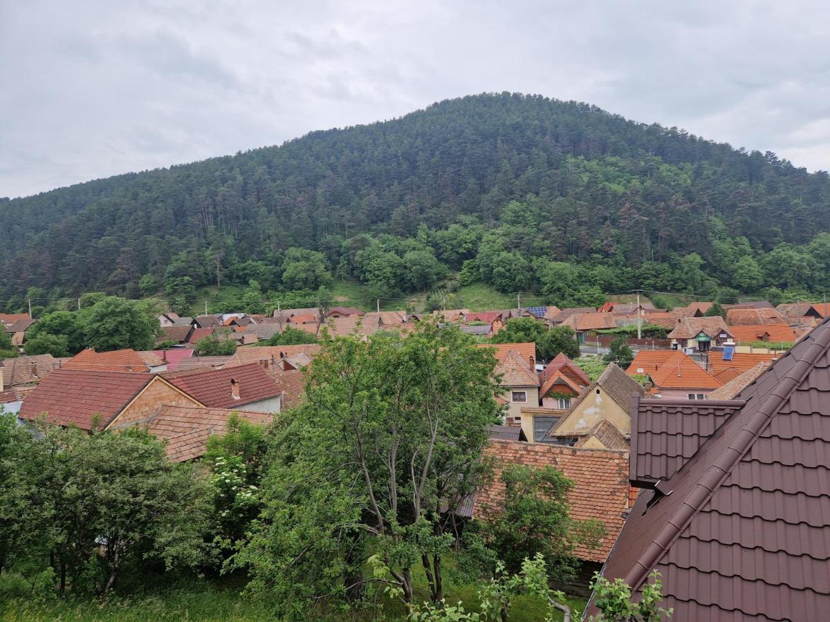 Pensiunea Carul Mare Răşinari Exterior foto